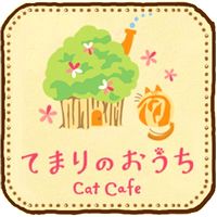 てまりのおうち 猫カフェ